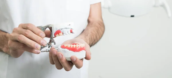 Dişçinin Elinde Sahte Bir Çene Var — Stok fotoğraf