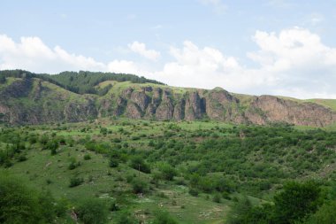 Baharda yeşil tarlalar, ağaçlar ve dağlar