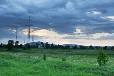 Yeşil tarla ve bulutların altındaki ağaçlar