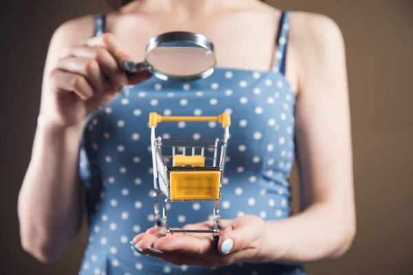 Young Woman Looking Shopping Cart Magnifying Glass Web Search Concept — Stock Photo, Image