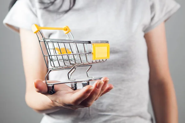 Woman Holding Small Cart — Stock Photo, Image