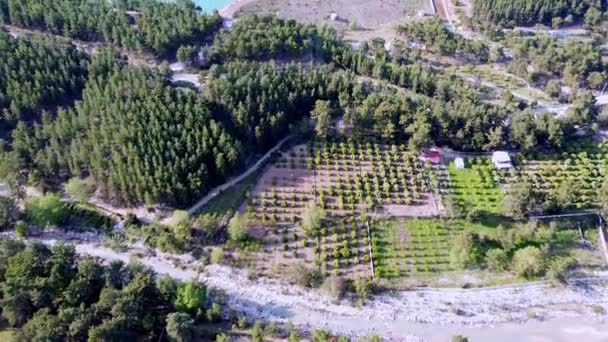 Drone Vlucht Een Smaragd Bergmeer Tegen Achtergrond Van Bergen Een — Stockvideo