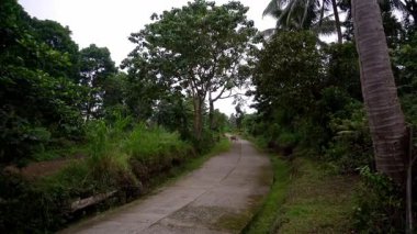 Dağlarda yoğun yeşil yağmur ormanları, yerleşim yeri manzarası, dağların etekleri, ormanı kaplayan sis. Yüksek kalite 4k görüntü