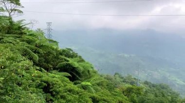 Dağlarda yoğun yeşil yağmur ormanları, yerleşim yeri manzarası, dağların etekleri, ormanı kaplayan sis. Yüksek kalite 4k görüntü