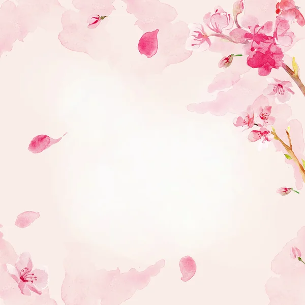 Акварель цветочный фон сакуры — стоковое фото