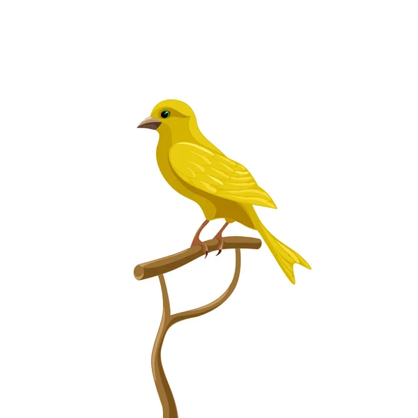 Canario amarillo se sienta en una percha — Vector de stock