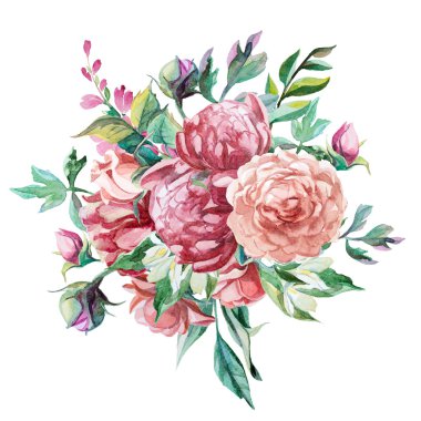 buket peonies izole beyaz arka plan üzerinde