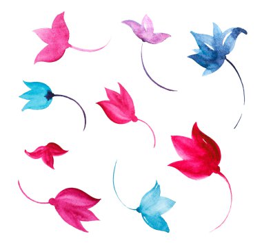 basit çiçek kümesini yalıtmak beyaz arka plan üzerinde