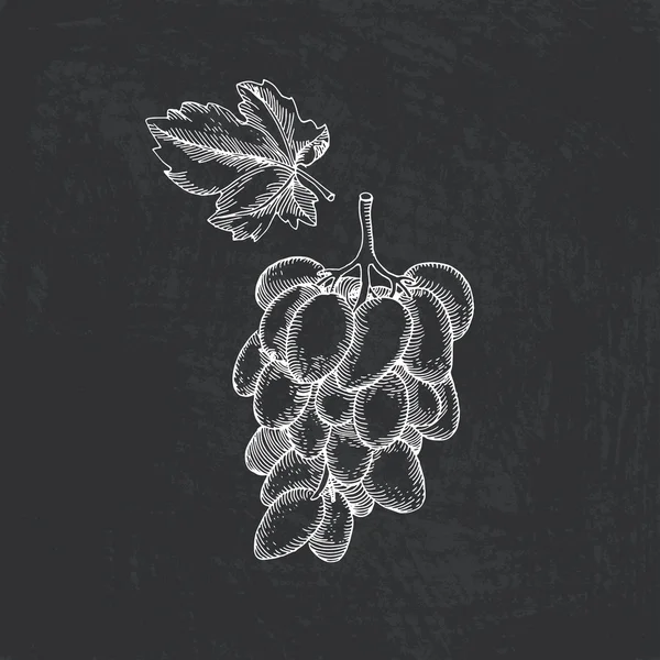 Winogrona ręcznie rysowane kredą na tablicy — Wektor stockowy