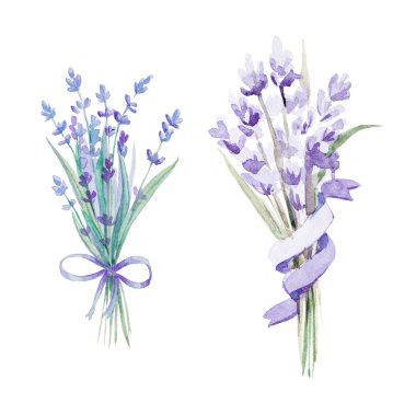 Suluboya lavanta ayarla