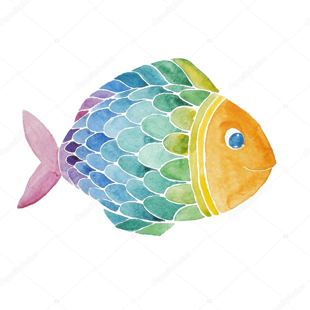 Regenbogenfisch Aquarell bemalt. Stockillustration von ©KatBuslaeva  #122301246, image size:1024x1024