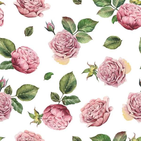 Watercolor Seamless Pattern Pink Rose Leaves White Background Shabby Style — Stock Photo, Image
