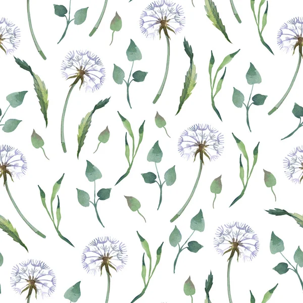 Watercolor Seamless Pattern Dandelion Leaves White Background — Stock Photo, Image