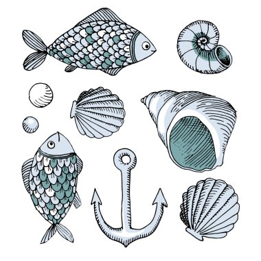 Balık ve deniz hayvanı kabuğu ve çapa vektör el çekilmiş