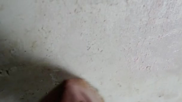 Применение грунтовки к стене кистью. — стоковое видео
