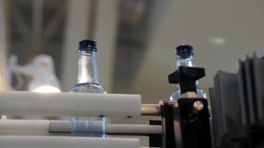 Alkollü içecek üretimi için taşıyıcı bant.