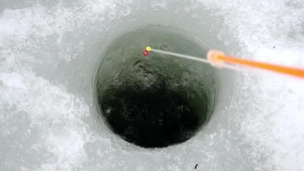 Pesca no gelo com uma vara de pesca de inverno — Vídeo de Stock