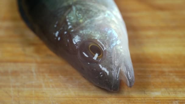 Poissons vivants sur une planche à découper. — Video