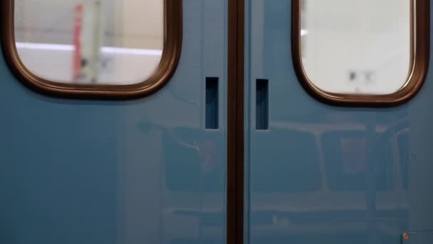 Двері вагона метро в рухомому поїзді . — стокове відео