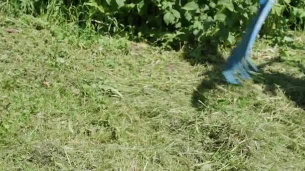 Sommersonniger Tag. Frisch geschnittenes Gras mit einer Kunststoffharke rechen. — Stockvideo