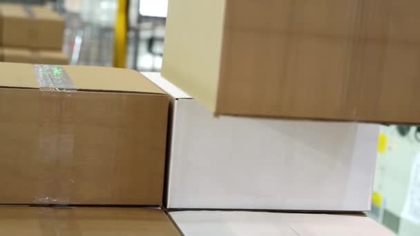 Механический манипулятор укладывает картонные коробки. — стоковое видео
