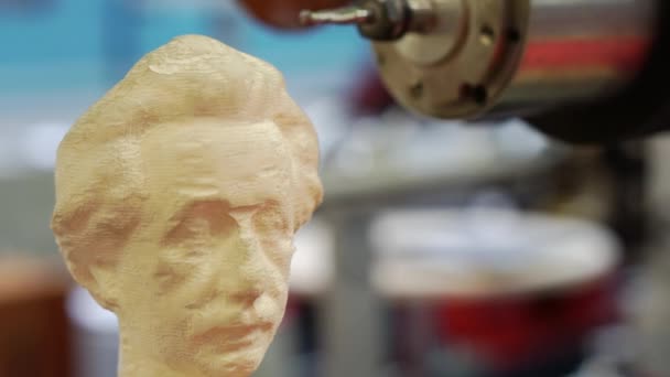 An imitation of the creation of a bust of Albert Einstein. — Stock Video