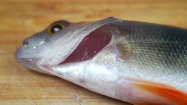 Live fish on a cutting board. — Stock Video