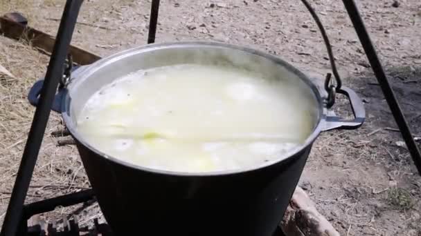Nahaufnahme: Fisch wird in einen Topf mit kochender Fischsuppe gegeben — Stockvideo