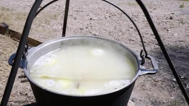 Крупним планом: риба додається в каструлю киплячого рибного супу — стокове відео