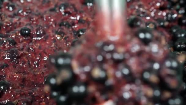 Шліфувати чорні ягоди з блендером . — стокове відео