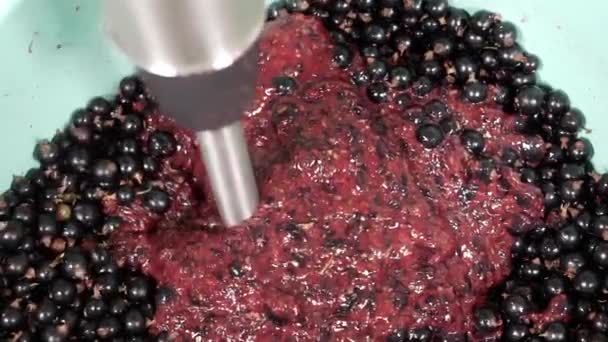 Schwarze Beeren mit dem Mixer mahlen. — Stockvideo