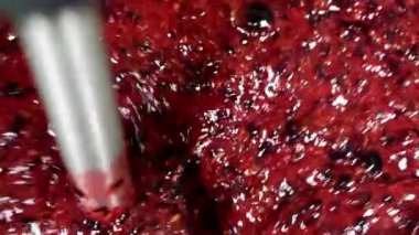 Blender ile çeşitli meyveler öğütüyorum..