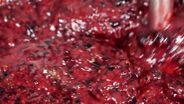 Zbliżenie procesu mielenia jagód. — Wideo stockowe
