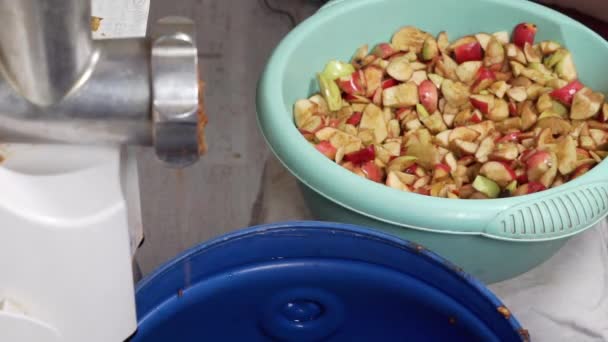 Un hachoir à viande broie des pommes rouges. — Video