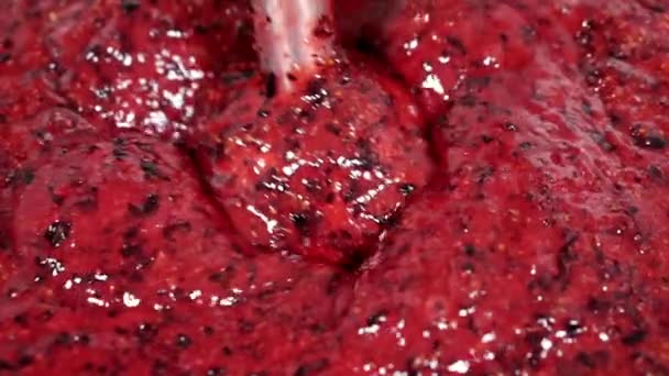 Nahaufnahme des Zerkleinerungsprozesses von Beeren. — Stockvideo