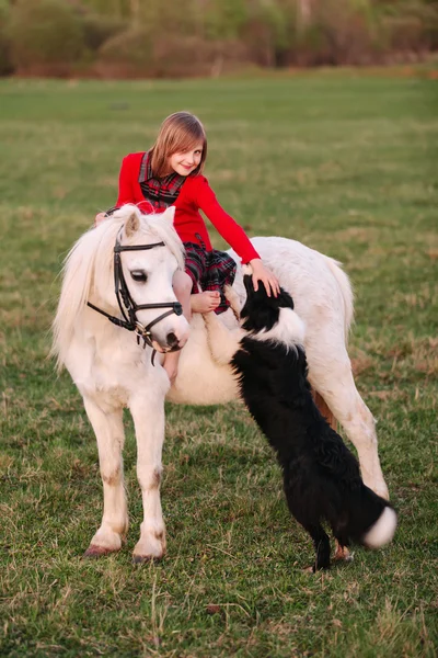 Un petit enfant assis sur un poney blanc touche la main et un chien regarde la caméra — Photo