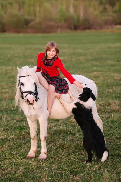 La fille enfant est assise sur un poney avec sa main et a touché le chien — Photo