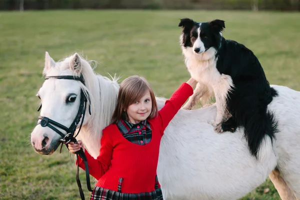 Babymeisje in de rode jurk. Hond op een paard. Een kleine witte pony — Stockfoto