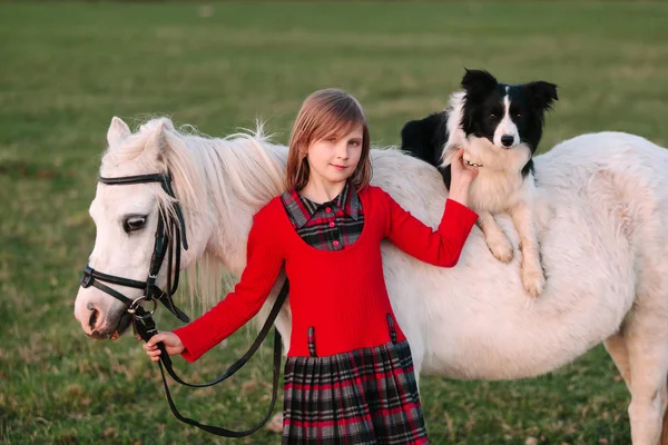Ragazzina. Vestito rosso. Cane a cavallo. Piccolo cavallo bianco pony — Foto Stock