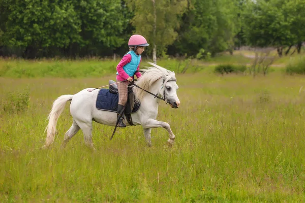 Young girl confident galloping horse on the field  Outdoors — Stock Photo, Image