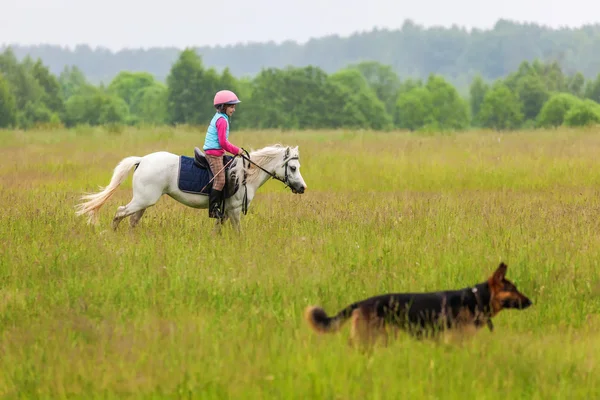 Trochę spacery dziewczyna na koniu jest pewien Niemiec Pastuch blisko na zewnątrz — Zdjęcie stockowe