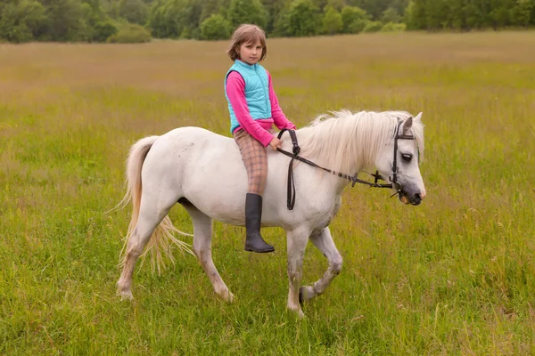 Małe dziecko dziewczyna idzie na białym koniu na polu na zewnątrz — Zdjęcie stockowe