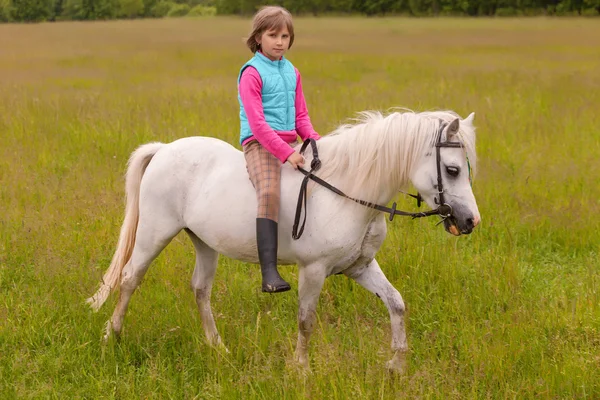 小さな女児は屋外のフィールドで白い馬に歩く — ストック写真