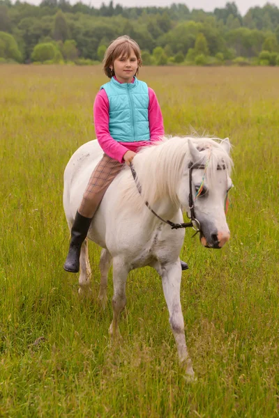 Bambina bambina cammina su un cavallo bianco sul campo all'aperto — Foto Stock