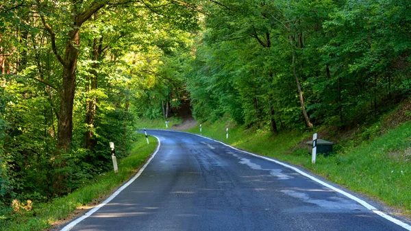 Route Asphaltée Courbe Vide Dans Forêt Verte Werbach Allemagne Vue — Photo