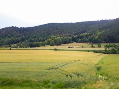 Almanya 'da gökyüzüne karşı yeşil kırsal alanda cennet manzarası