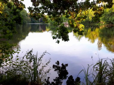 Almanya 'da sudaki yansımalarla yeşil ağaçlar arasında kalan göl