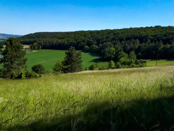 Verde Paesaggio Rurale Con Erba Foresta Nella Valle Taubertal Germania — Foto Stock