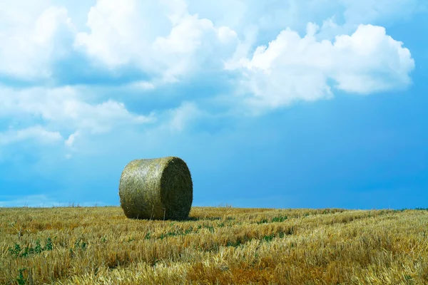 Erntefeld und stürmischer Himmel — Stockfoto