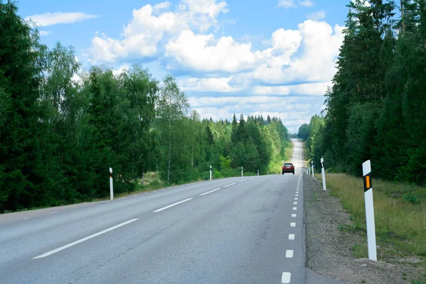 Summer road cutting straight trough thick woods — Stock Photo, Image